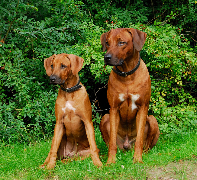 Vater Trestan mit Tochter Ashanti