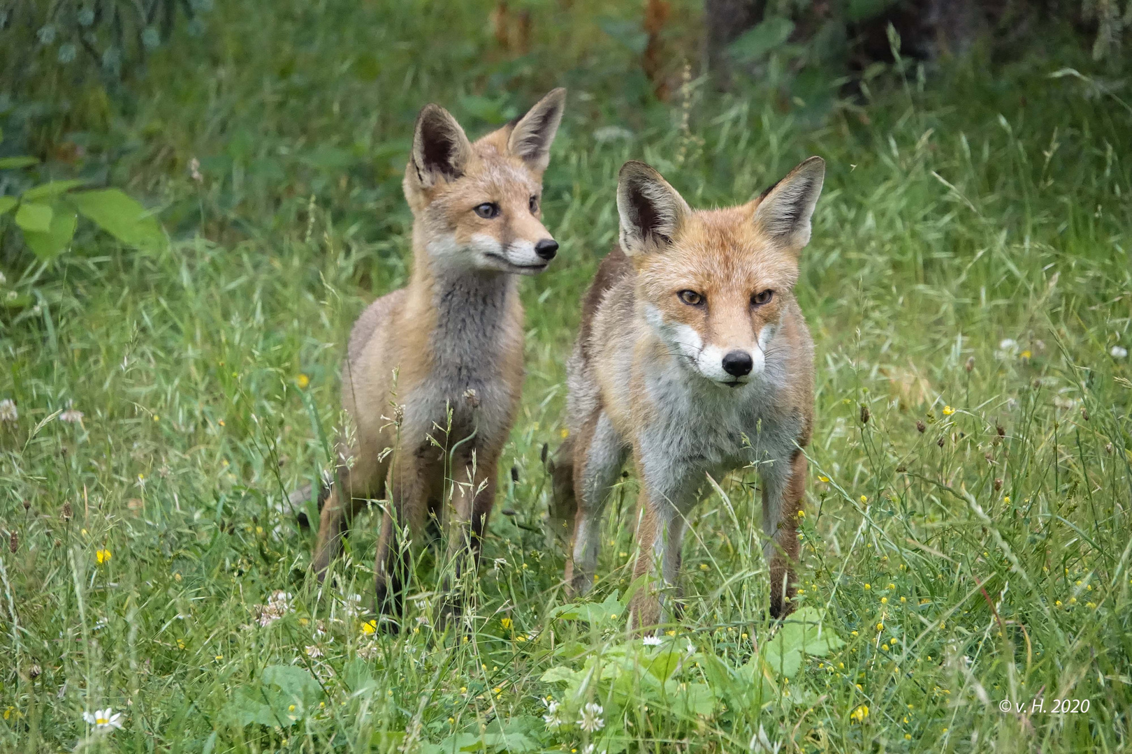 Vater und Sohn