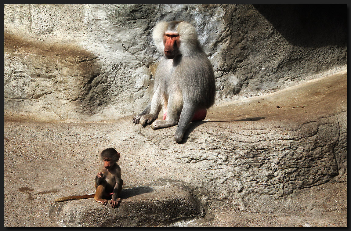 ...Vater und Sohn...