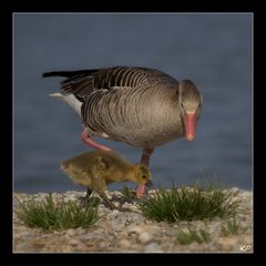 Vater und Sohn (2)