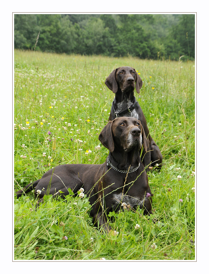 Vater und Sohn