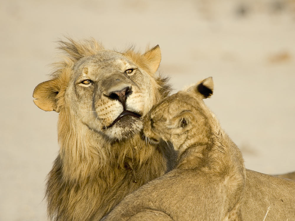 Vater und Sohn