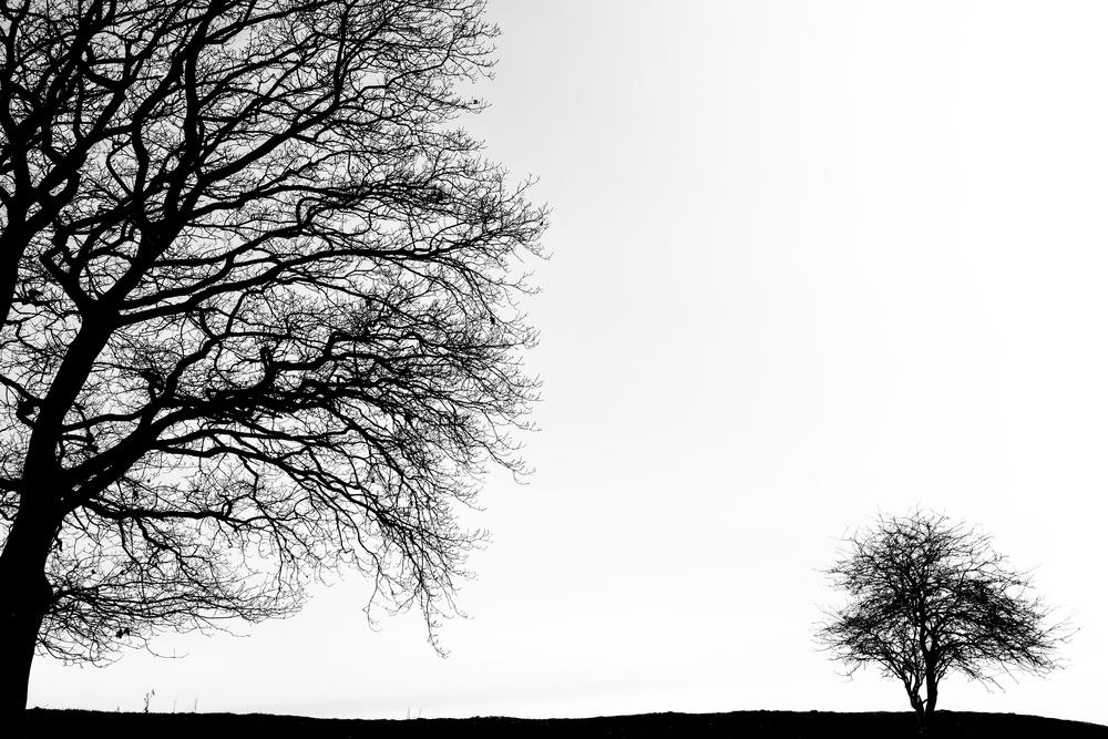 Vater und Sohn von Hinrich Carstensen 