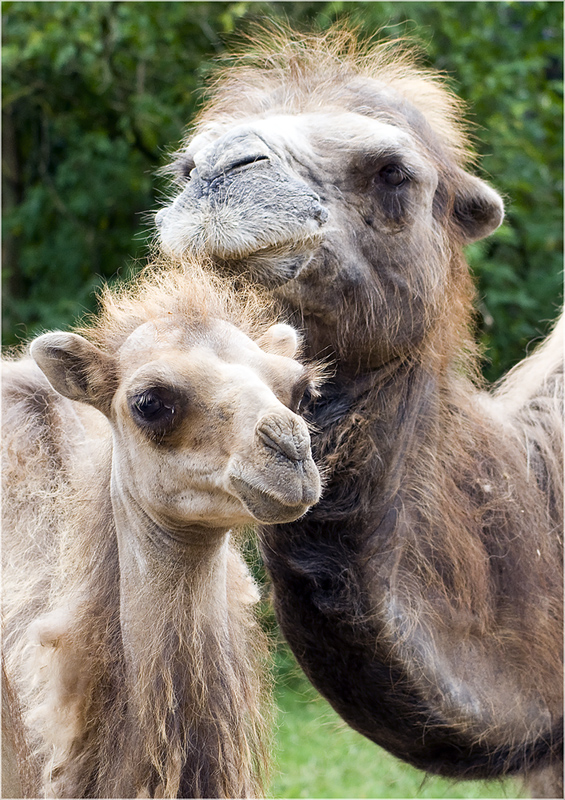 Vater und Sohn