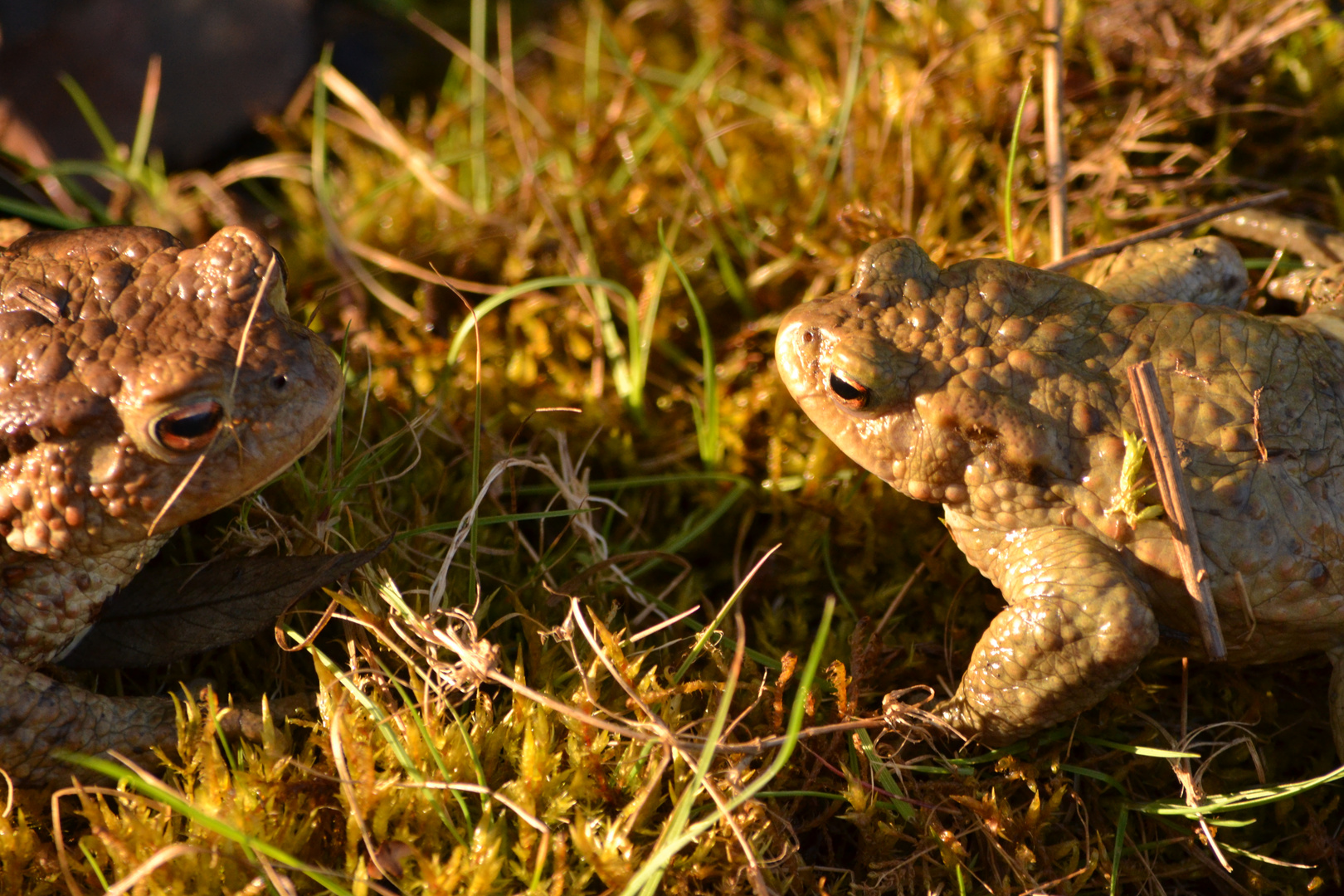 Vater und Sohn