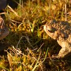 Vater und Sohn