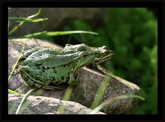 Vater und Sohn