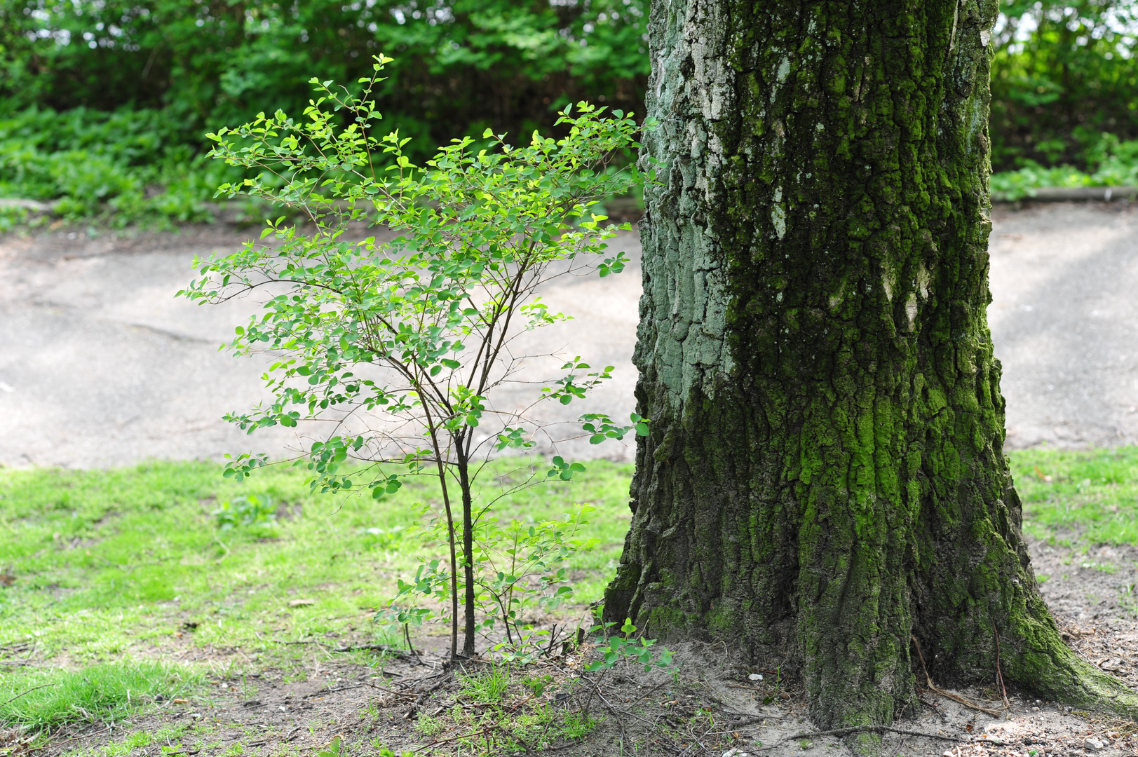 Vater und Sohn