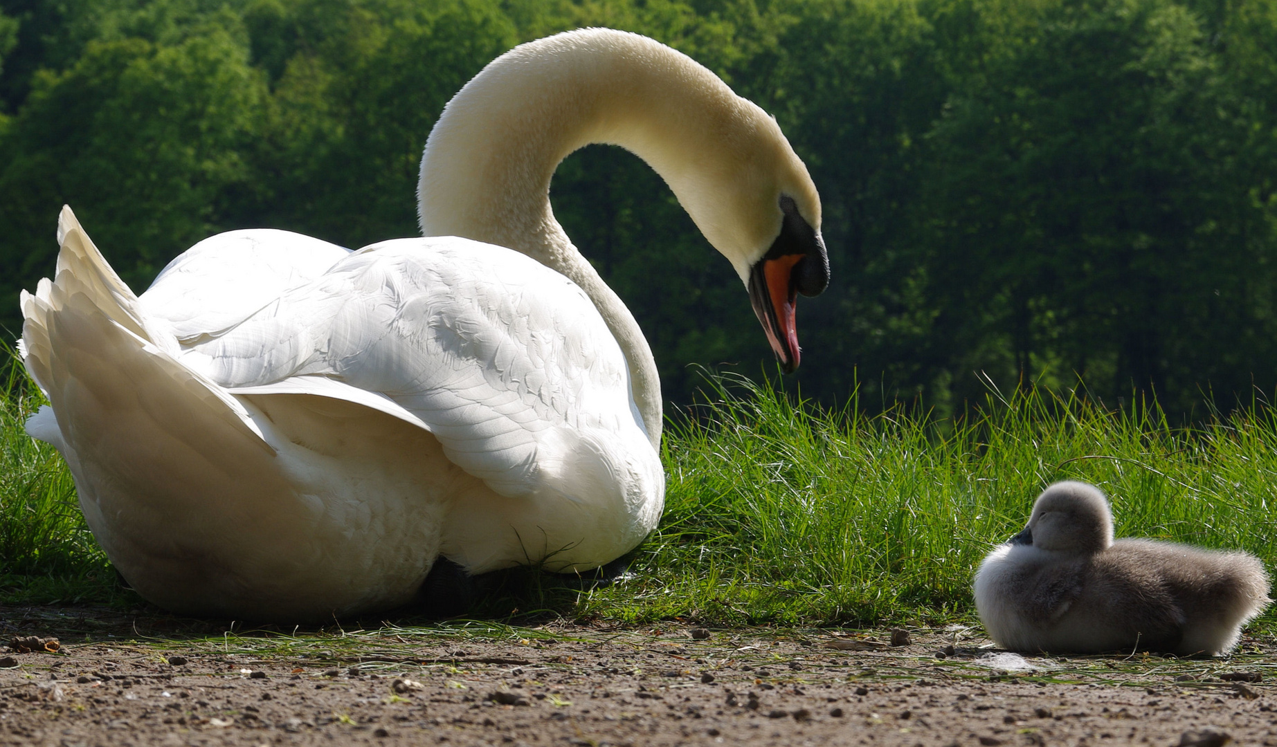 Vater und Sohn