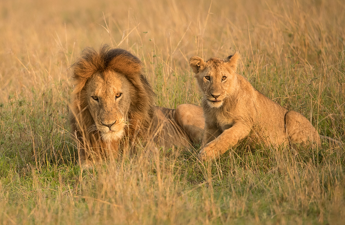 Vater und Sohn