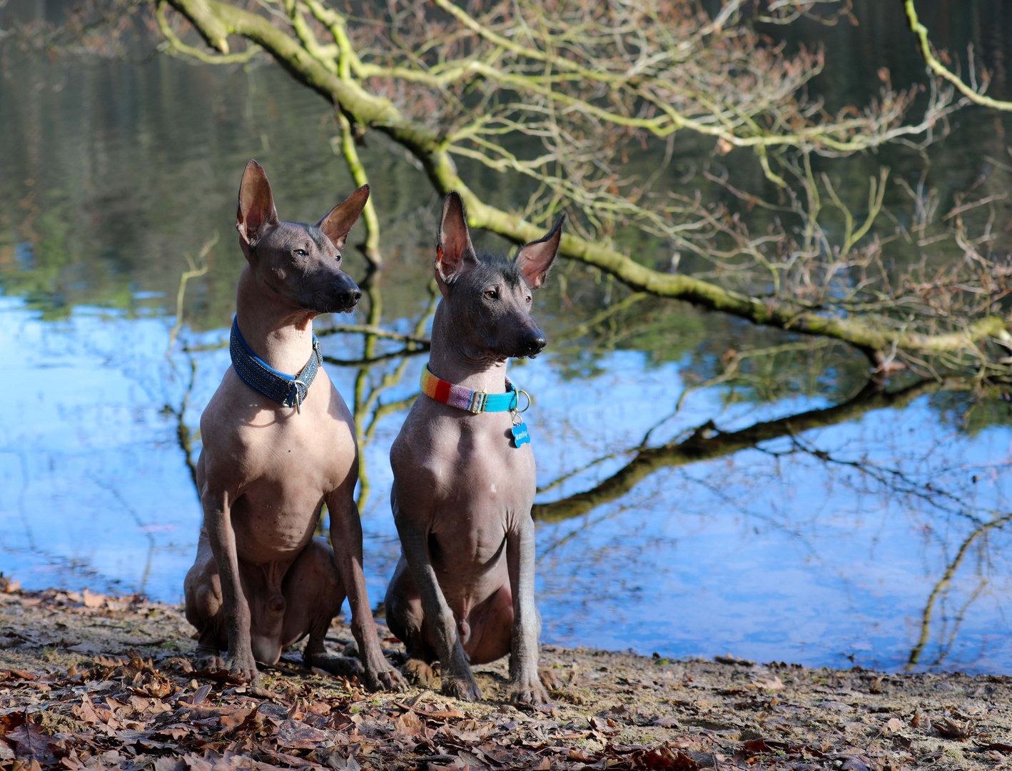 Vater und Sohn an der Krummen Lanke