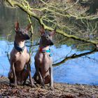 Vater und Sohn an der Krummen Lanke