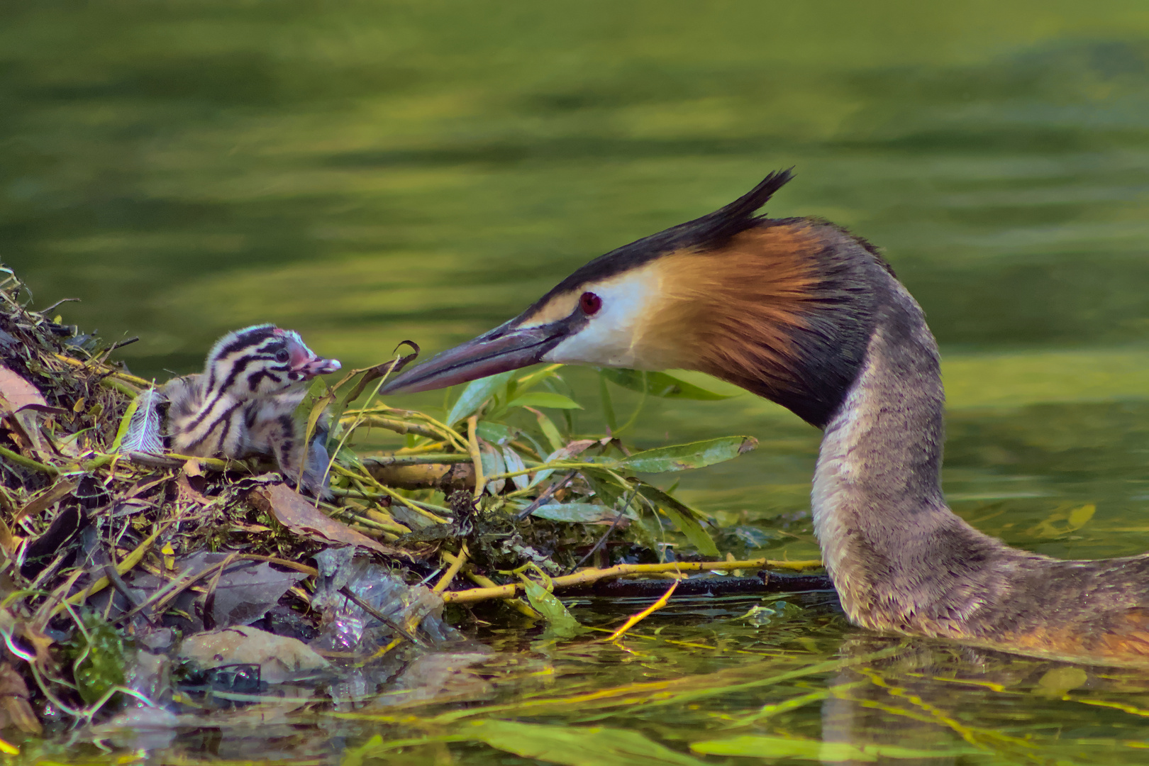 Vater und Sohn