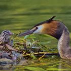 Vater und Sohn