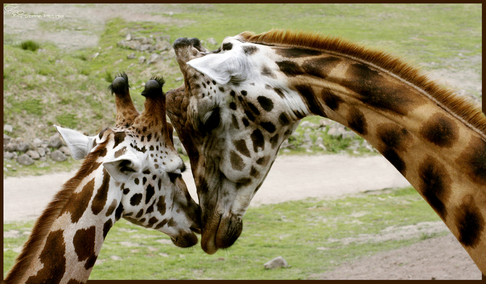 Vater und Sohn