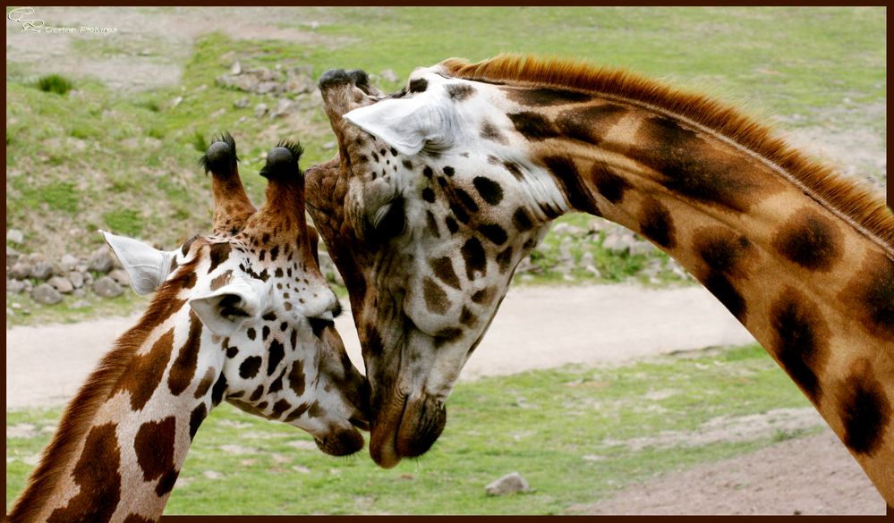 Vater und Sohn