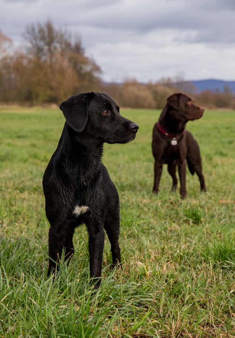 Vater und Sohn