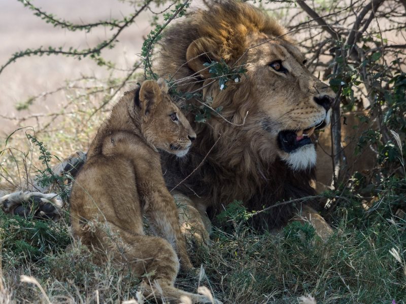 Vater und Sohn