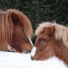 Vater und Sohn