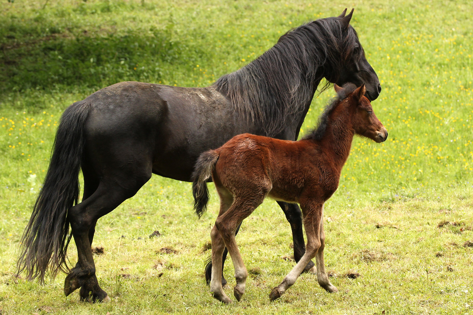 Vater und Sohn