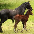 Vater und Sohn