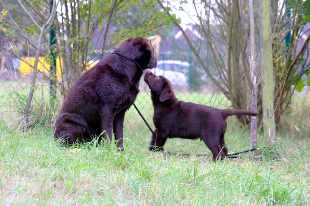 Vater und Sohn