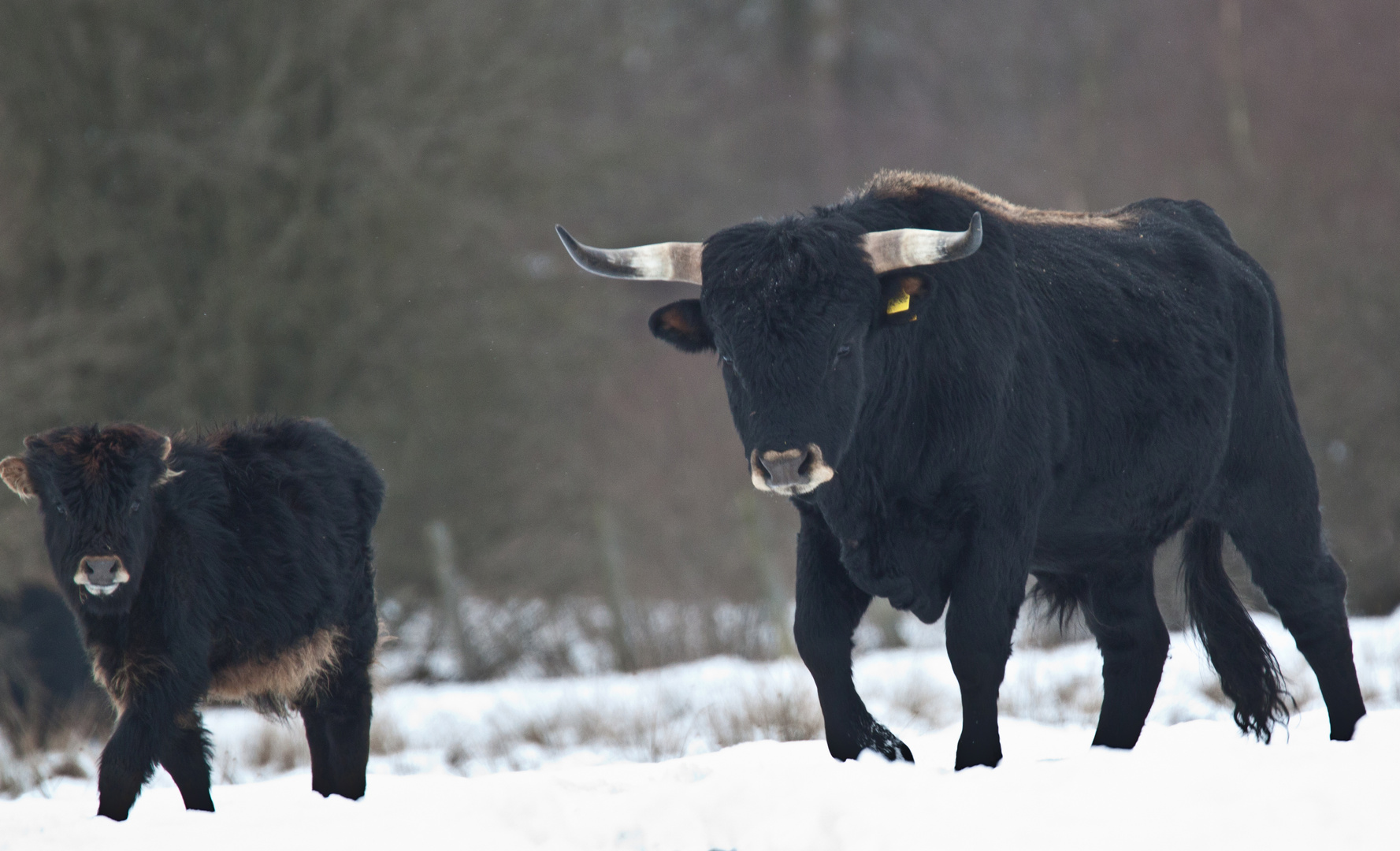 Vater und Sohn