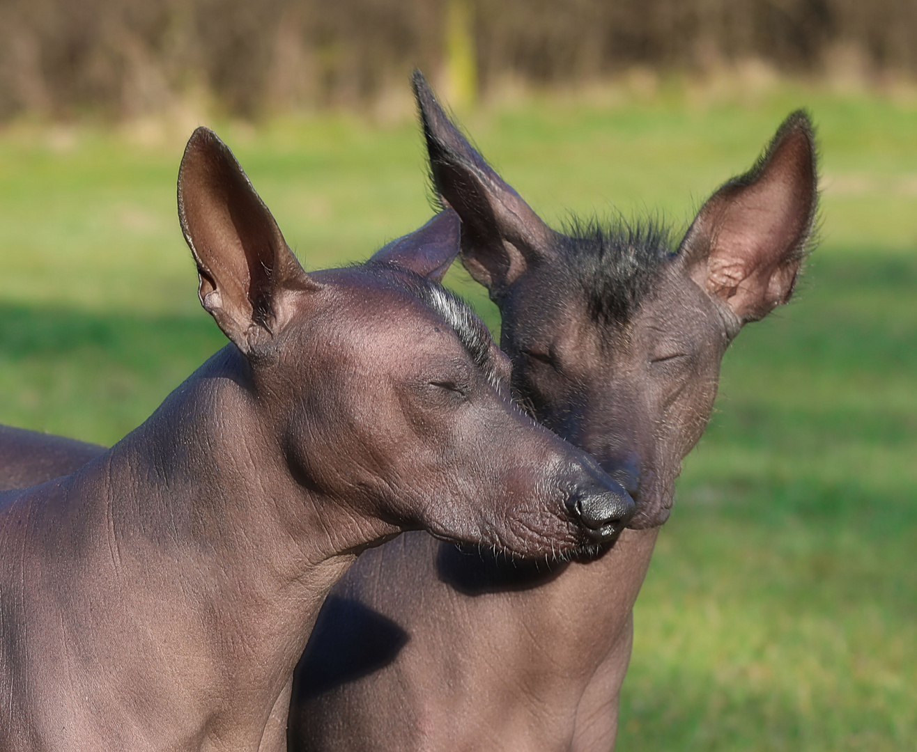 Vater und Sohn genießen die Frühlingssonne