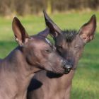 Vater und Sohn genießen die Frühlingssonne