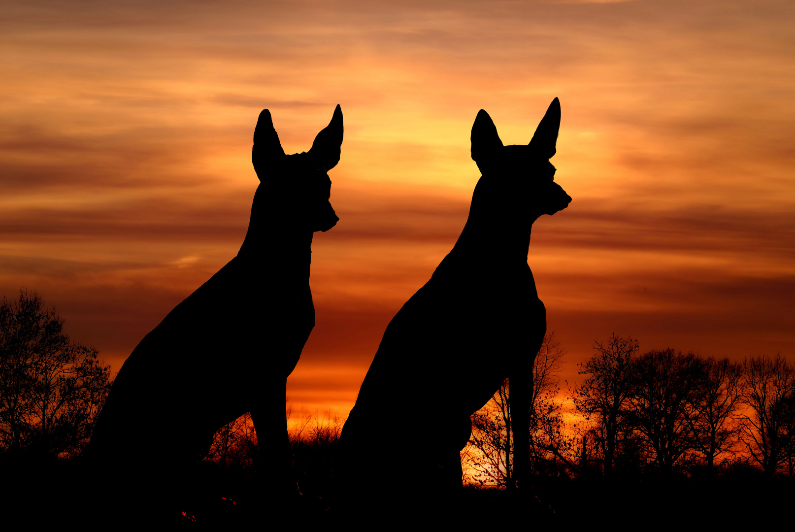 Vater und Sohn im Sonnenuntergang 