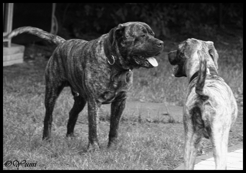 vater und tochter