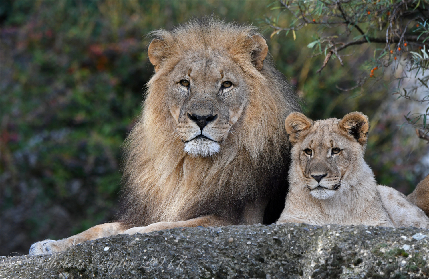 Vater und Tochter