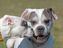 Vater und Tochter