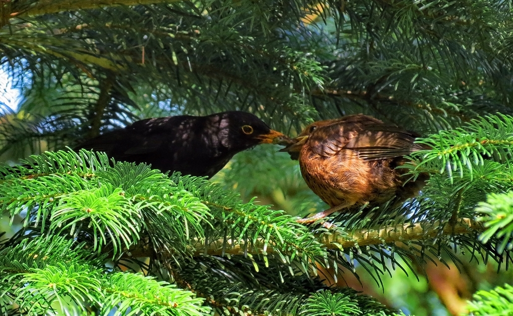 Vater und Tochter