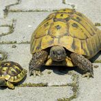 Vater und Tochter