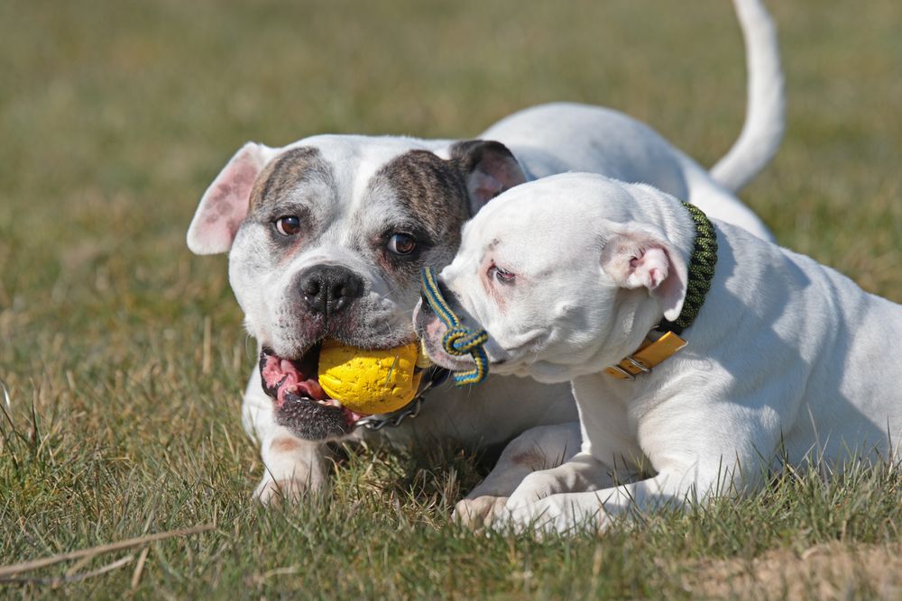 Vater und Tochter