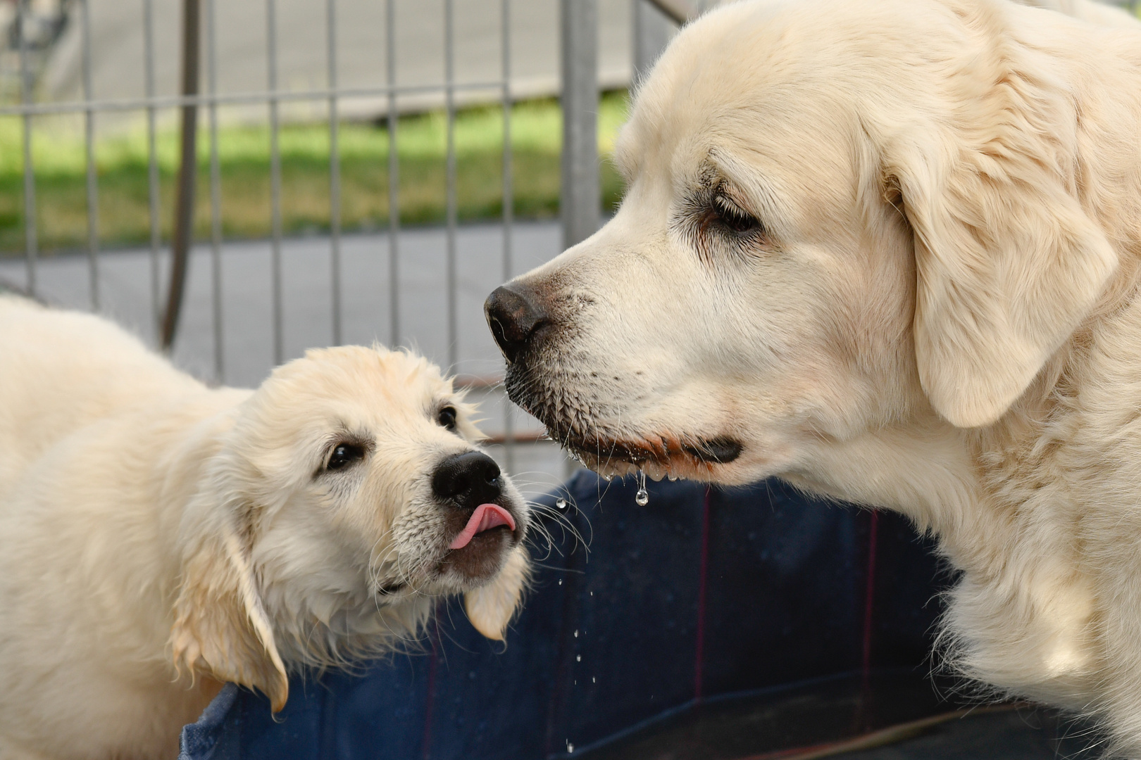 Vater und Tochter