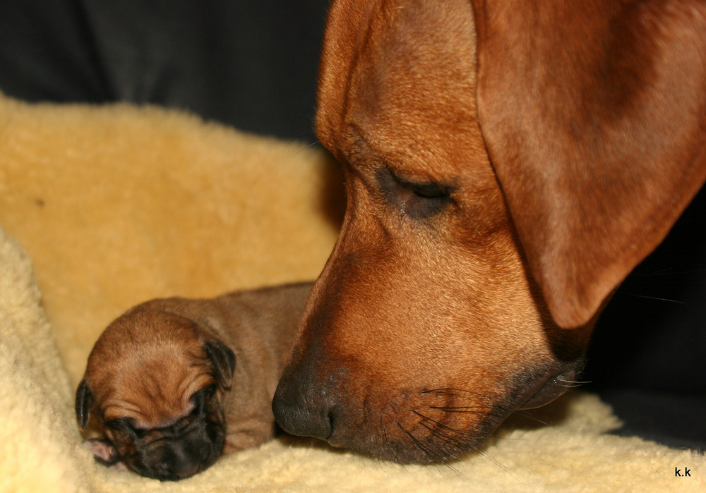 Vater&Sohn