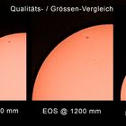 Vatertags-Sonne