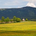 Vatertagsausflug (Bayerischer Wald)