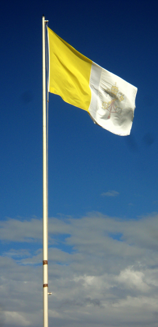 Vatflag