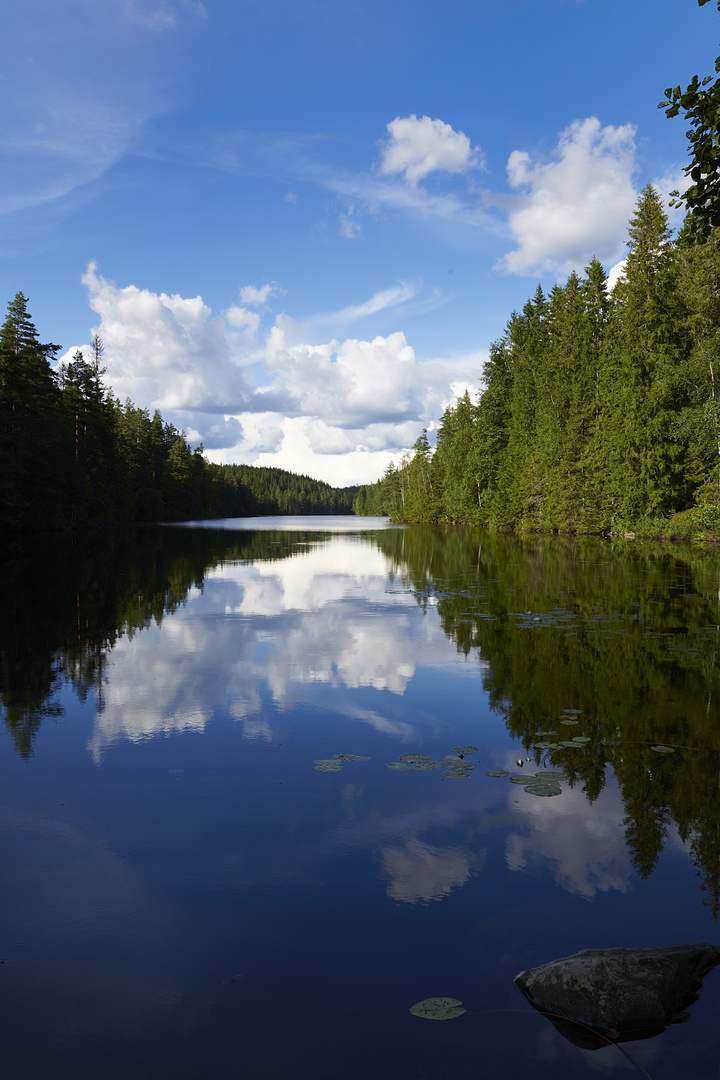 Vatten_Skogen_Moln