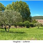 Vaugines 2