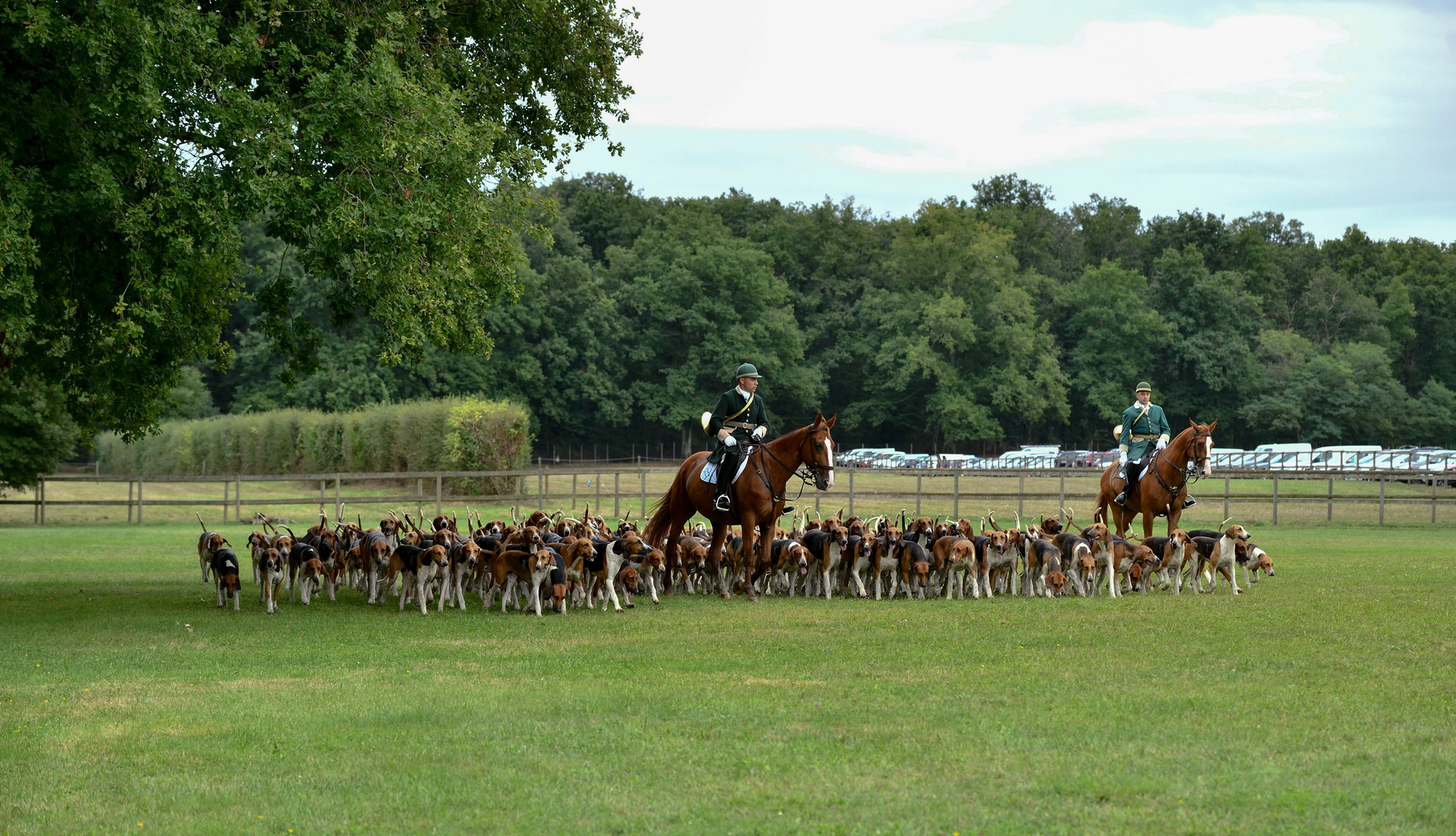 Vautrait de Banassat 