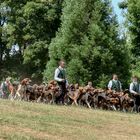  Vautrait des vieux chênes 