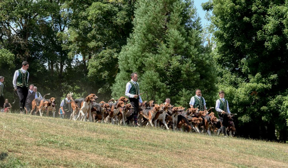  Vautrait des vieux chênes 