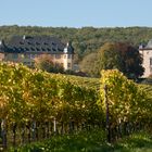 VdP Weingut  Schloss Vollrads im Rheingau