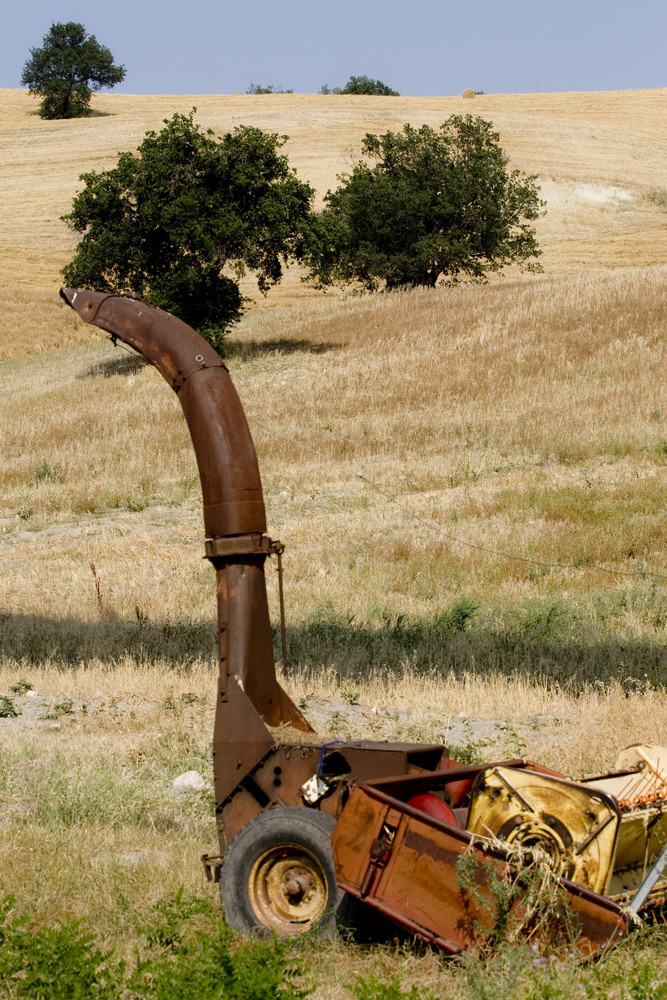 Vecchia campagna