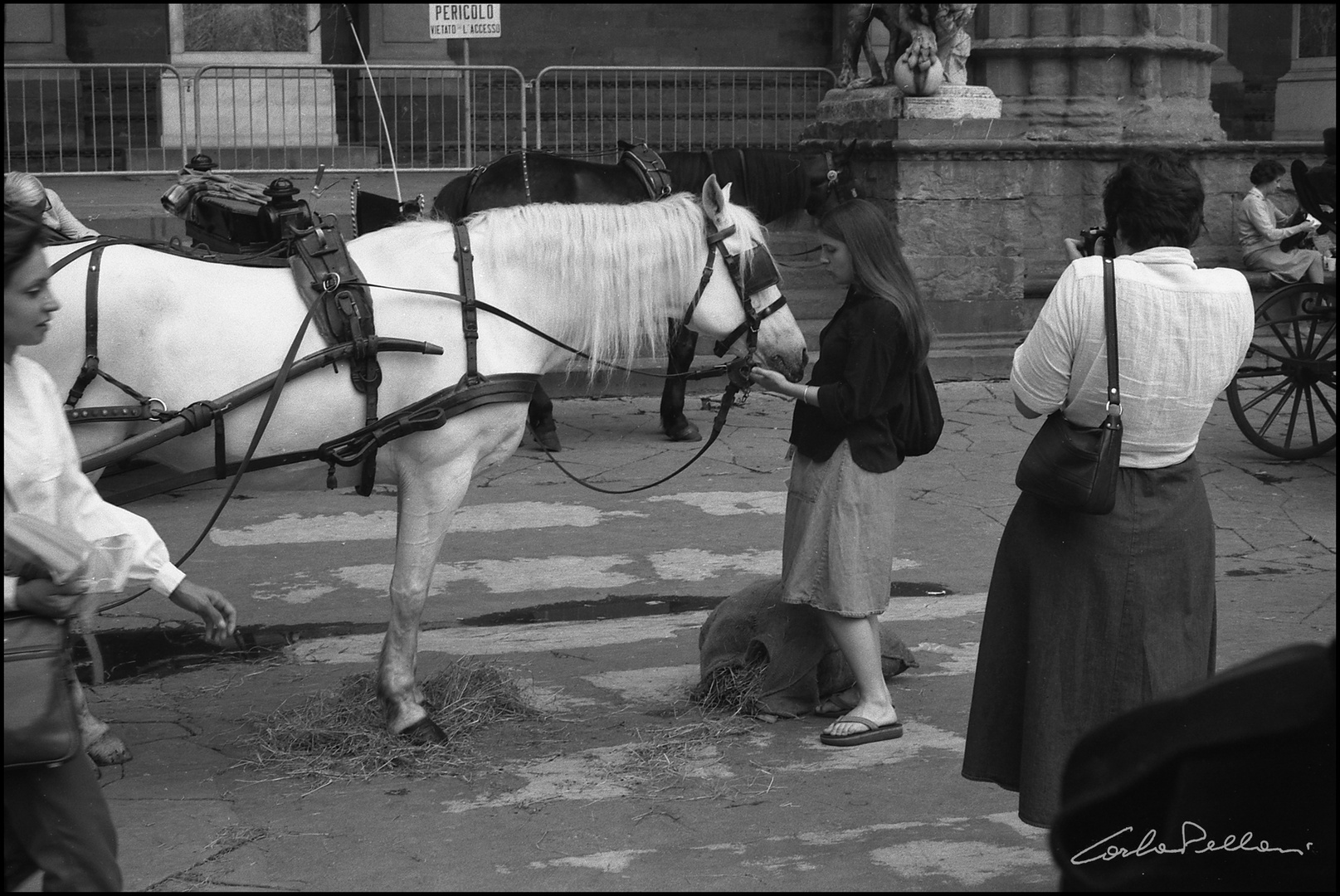 Vecchia Firenze