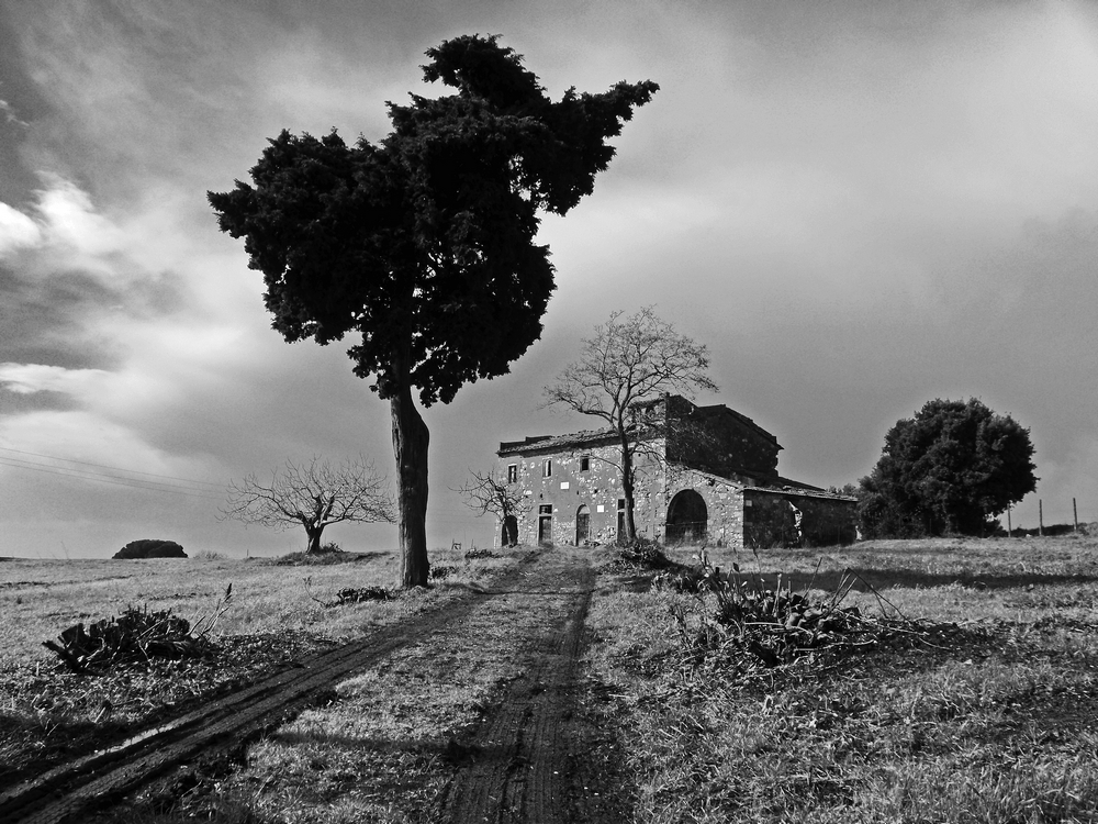 vecchia toscana